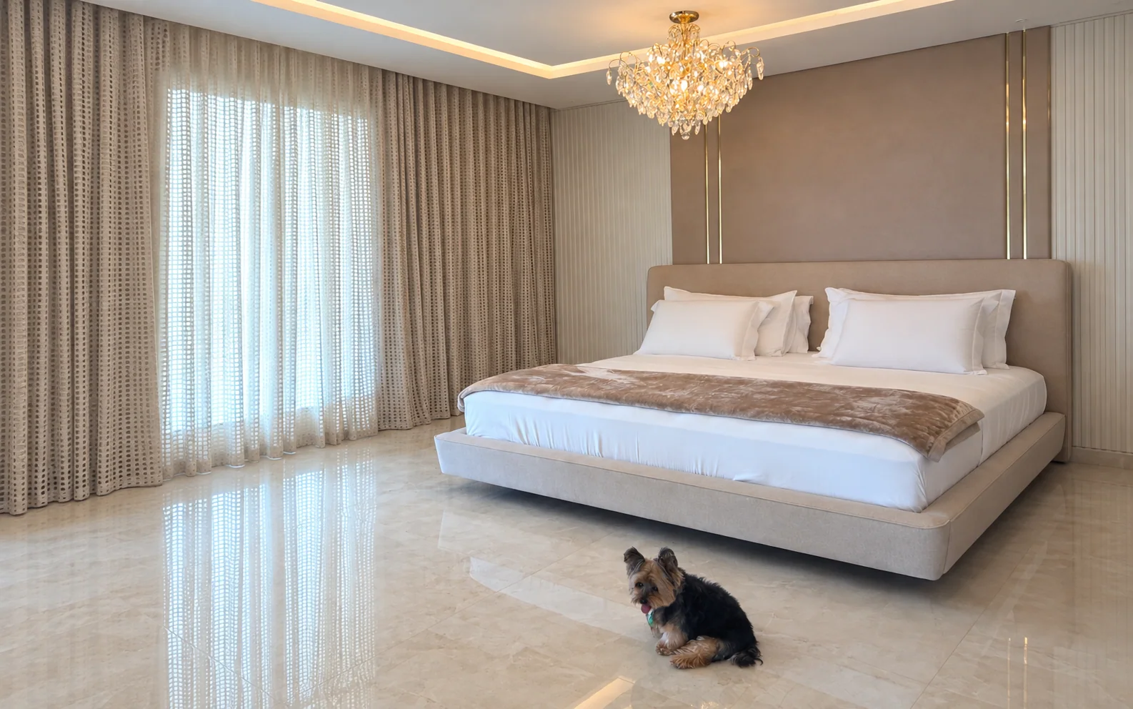 Quarto com cama estofada, cortinas e cachorro no piso — capa adaptada da imagem original